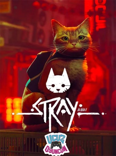 Stray